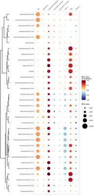 Metabolic Impairment in Coronary Artery Disease: Elevated Serum Acylcarnitines Under the Spotlights
